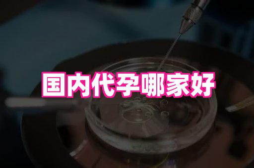 河南助孕网站 2