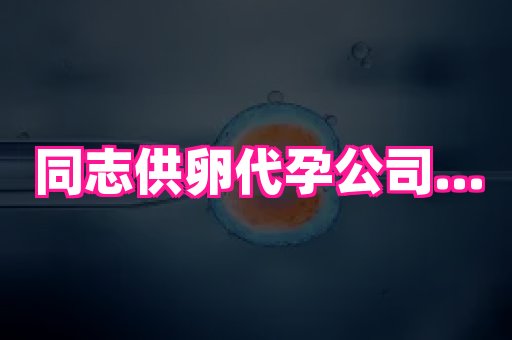 河南助孕网站 4